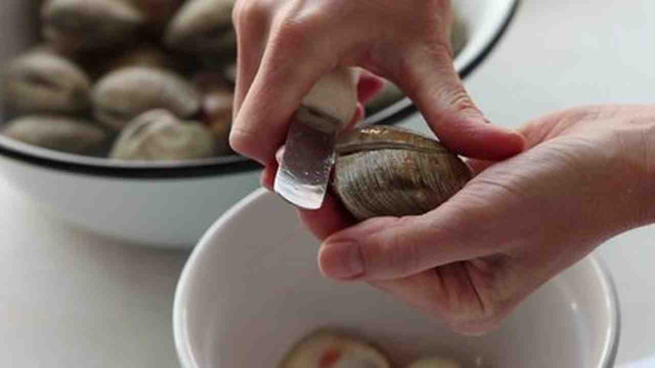 How to Shuck Clams How to Shuck Clams new picture How to Shuck Clams How to Shuck Clams new pics